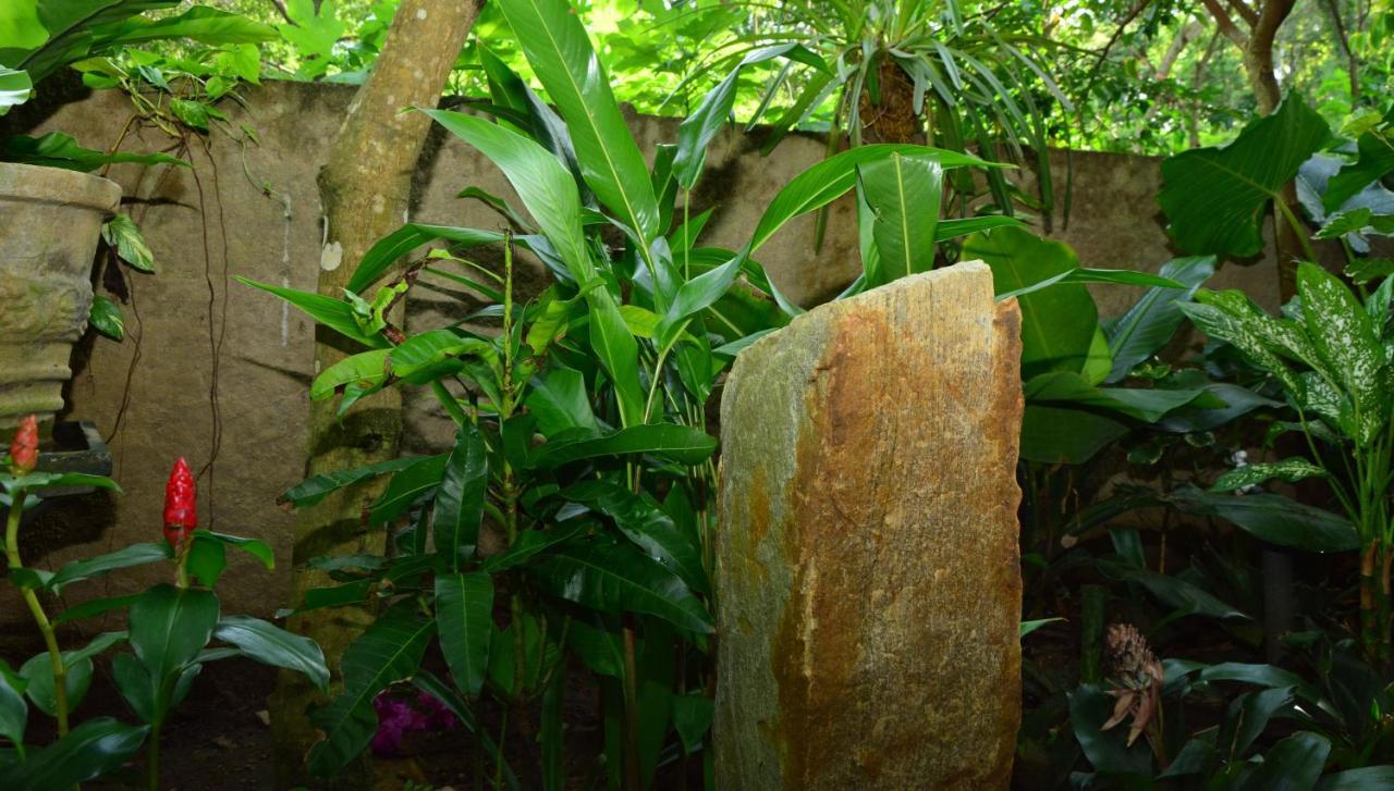View Guesthouse & Bistro At Goyambokka Tangalle Exterior photo