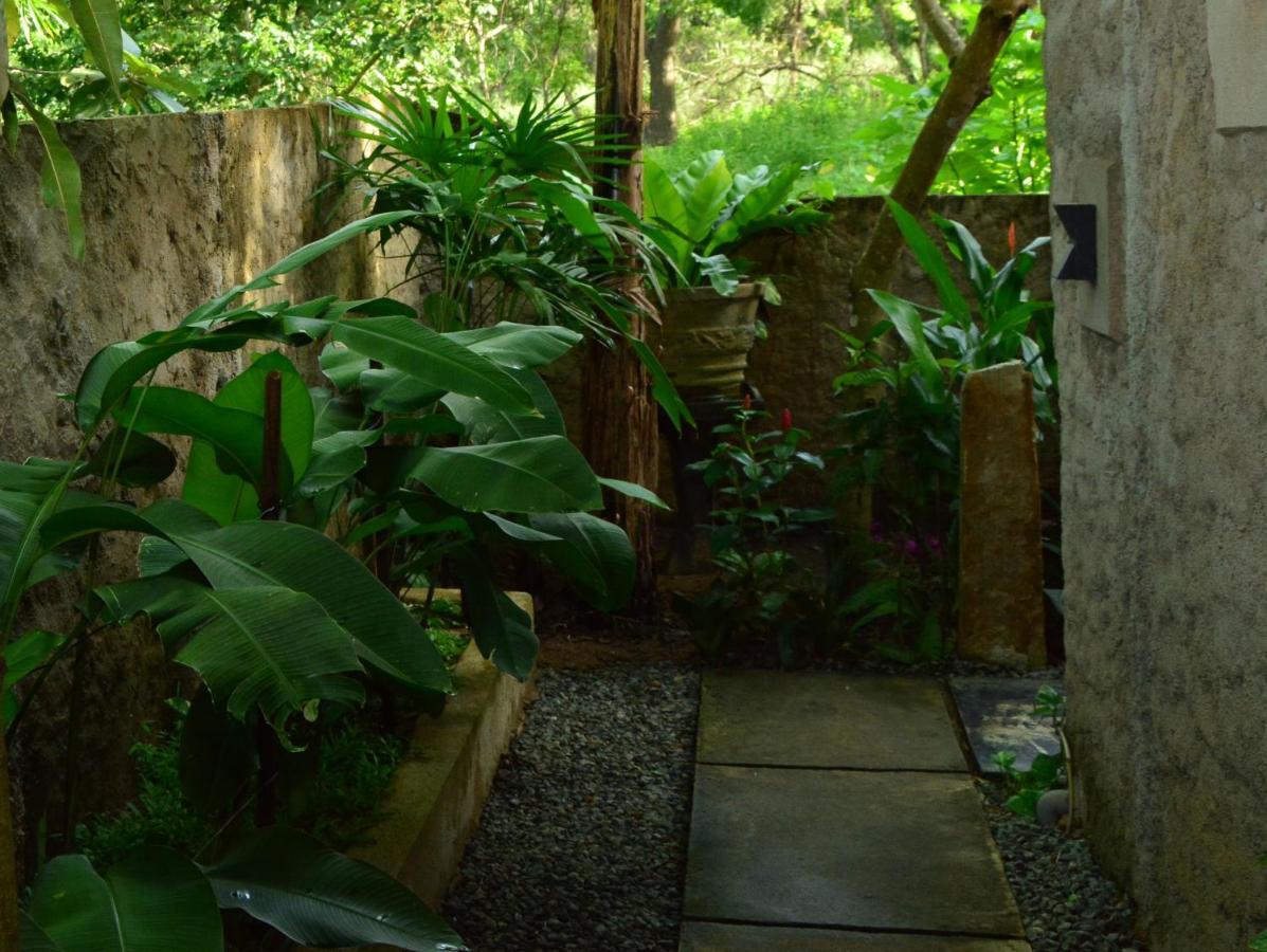 View Guesthouse & Bistro At Goyambokka Tangalle Exterior photo