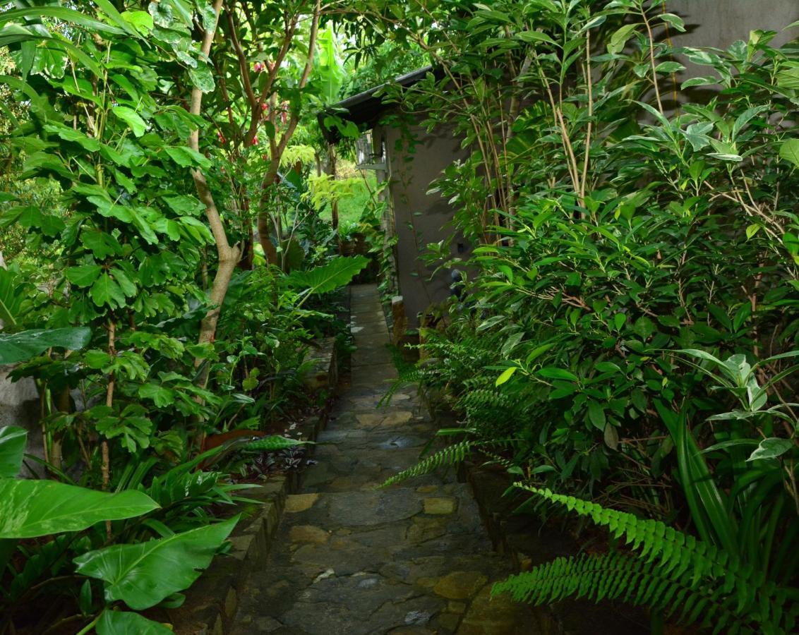 View Guesthouse & Bistro At Goyambokka Tangalle Exterior photo