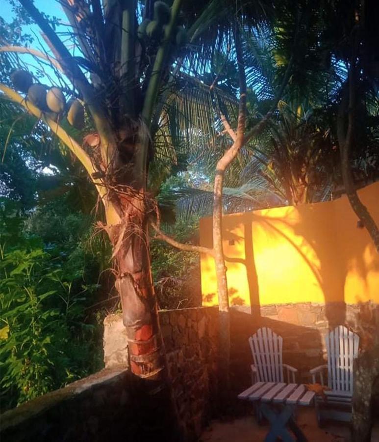 View Guesthouse & Bistro At Goyambokka Tangalle Exterior photo