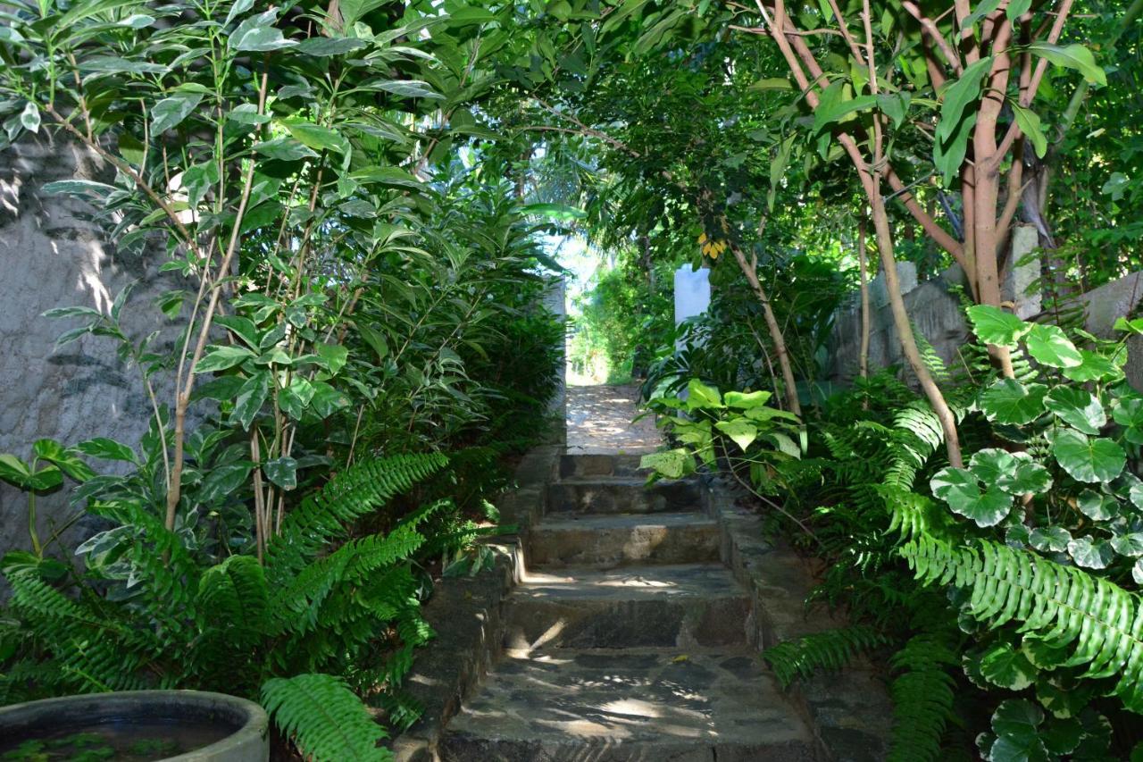 View Guesthouse & Bistro At Goyambokka Tangalle Exterior photo