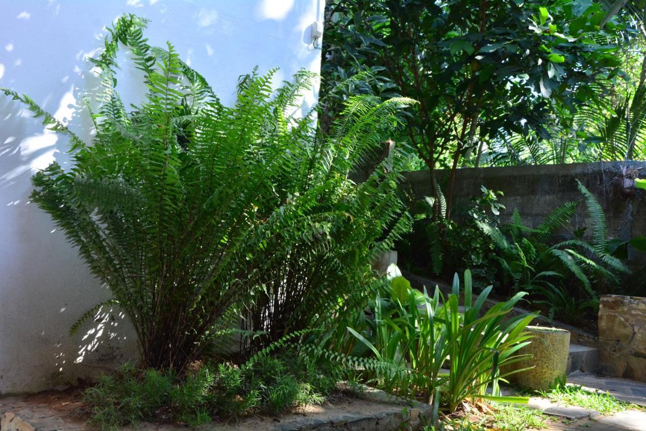 View Guesthouse & Bistro At Goyambokka Tangalle Exterior photo